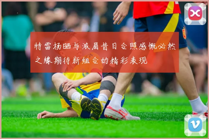 特雷杨晒与浓眉昔日合照感慨必然之缘期待新组合的精彩表现